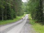 Sweden 2007-08 044